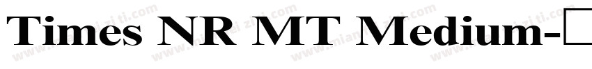 Times NR MT Medium字体转换